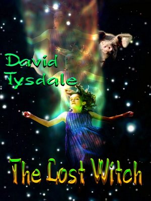 cover image of The Lost Witch
